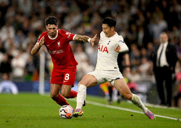 续发展模式 续发展模式